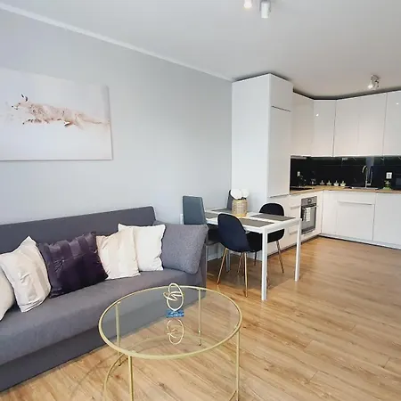 Good Time Centrum Strzelecka B Apartment *