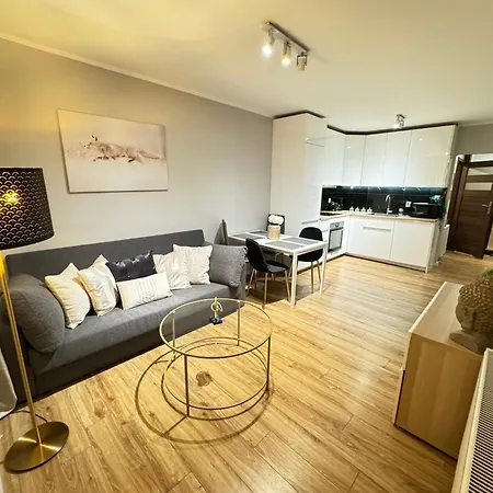 Apartment Good Time Centrum Strzelecka B Posen