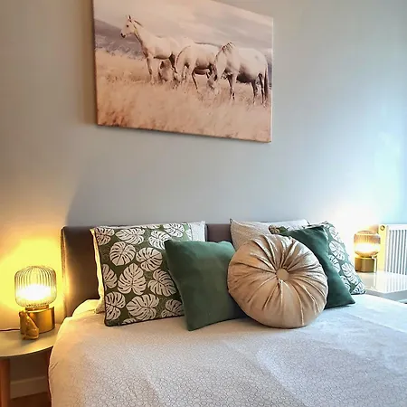 Good Time Centrum Strzelecka B 아파트 *