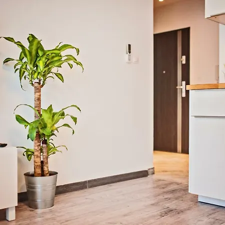 Apartment Good Time Centrum Strzelecka B Poznan