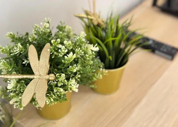 Apartamento Good Time Centrum Strzelecka B *