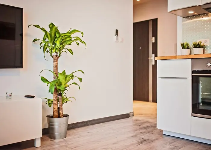 Apartamento Good Time Centrum Strzelecka B Poznań